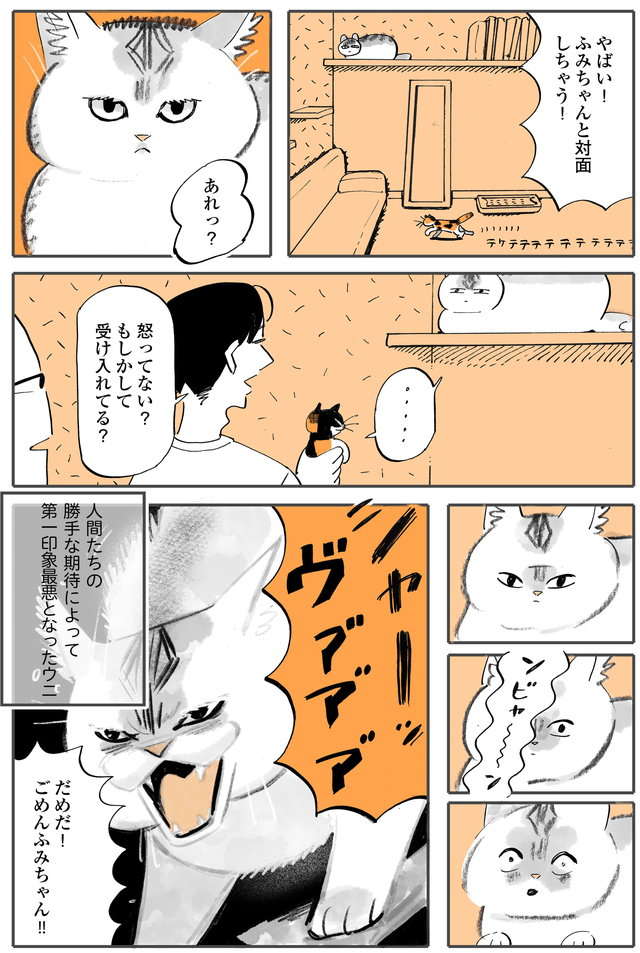 「きゃわああ！」新しく迎えた赤ちゃん猫。先住猫との初対面は最悪の結果に!? ／うちの猫は仲が悪い fumiuni3_004.jpg