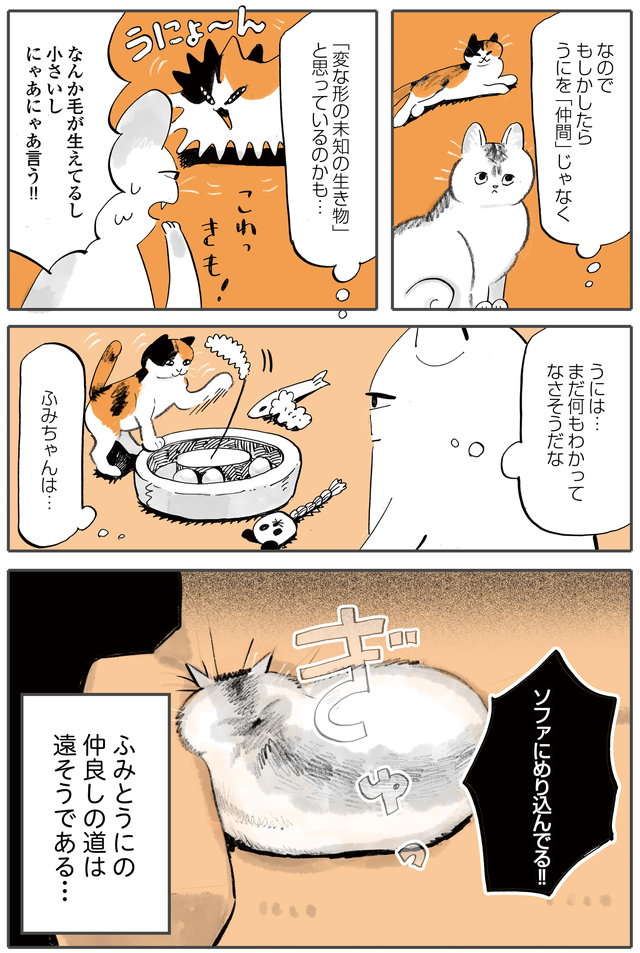 「きゃわああ！」新しく迎えた赤ちゃん猫。先住猫との初対面は最悪の結果に!? ／うちの猫は仲が悪い fumiuni3_006.jpg