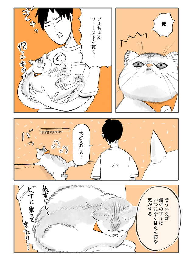 仲良くなる兆しが見えない猫2匹。「先住猫ファーストを貫け」と夫に説教したが...／うちの猫は仲が悪い fumiuni4_005.jpg