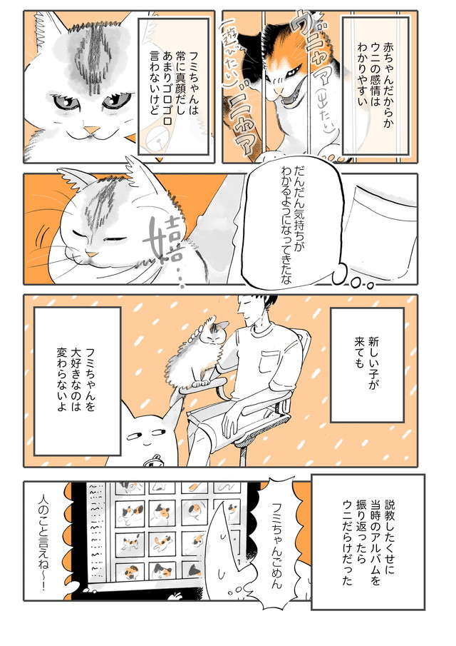 仲良くなる兆しが見えない猫2匹。「先住猫ファーストを貫け」と夫に説教したが...／うちの猫は仲が悪い fumiuni4_006.jpg