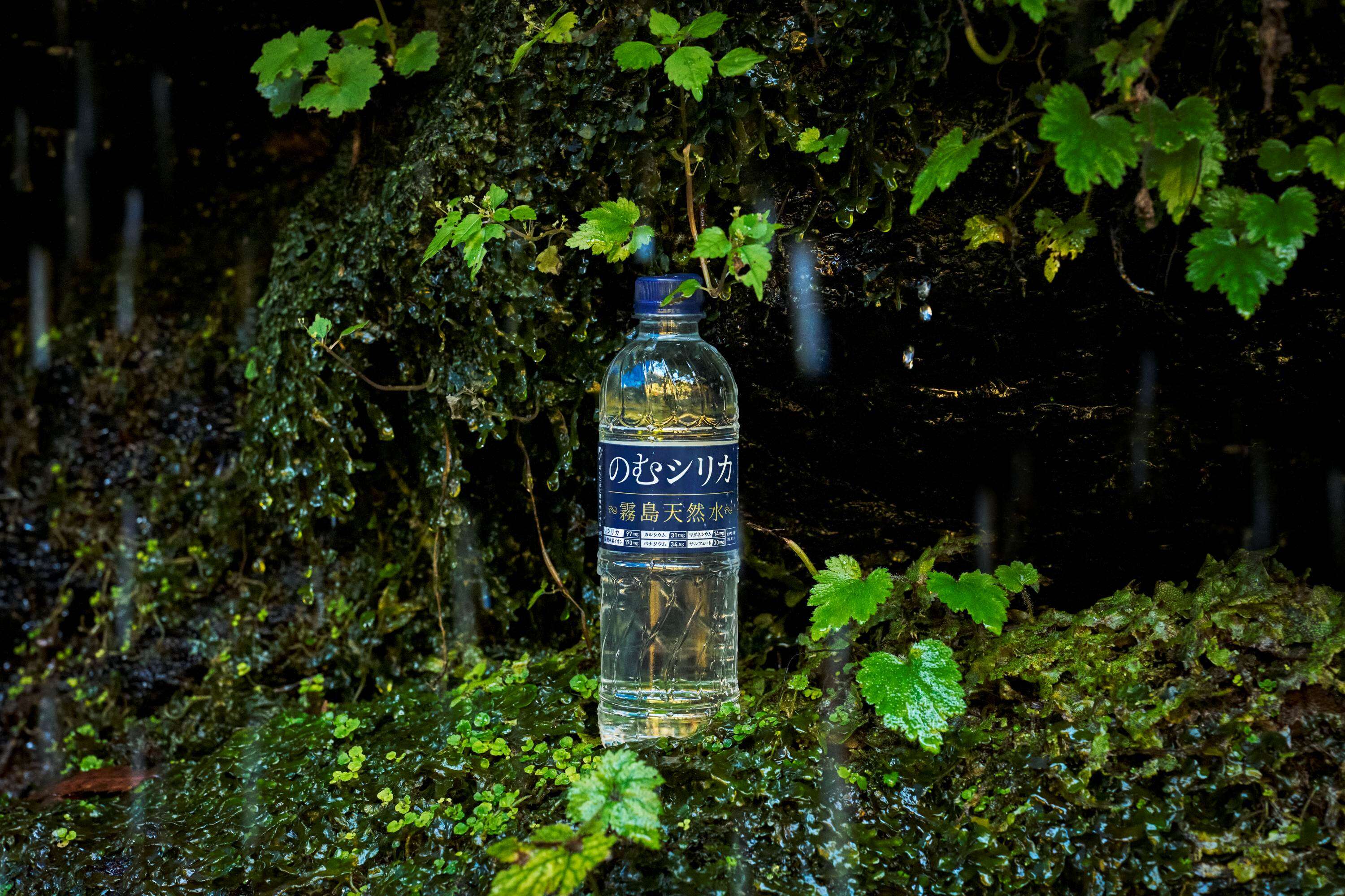 「何を飲むか」で夏が変わる⁉ 体に嬉しい水分補給の新習慣＜PR＞ gazou_3.5.jpg