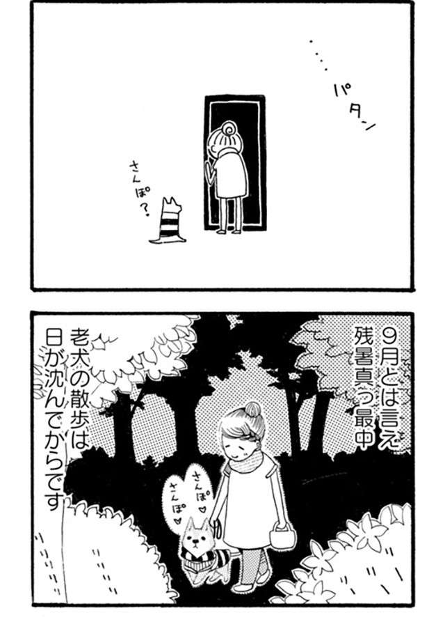 老犬は「かわいそう」ではない。愛犬の生き様／96歳の柴犬ハチさんは、今日もお散歩しています。 hachisan_P038_2.jpg