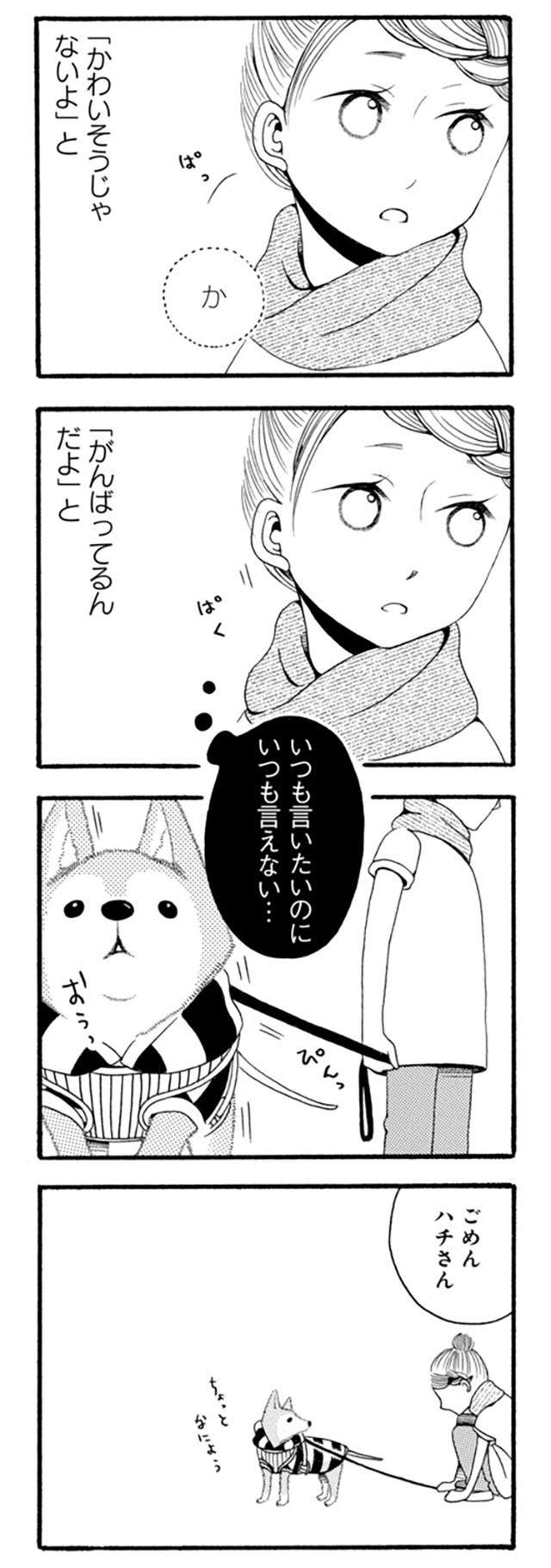 老犬は「かわいそう」ではない。愛犬の生き様／96歳の柴犬ハチさんは、今日もお散歩しています。 hachisan_P039_2.jpg