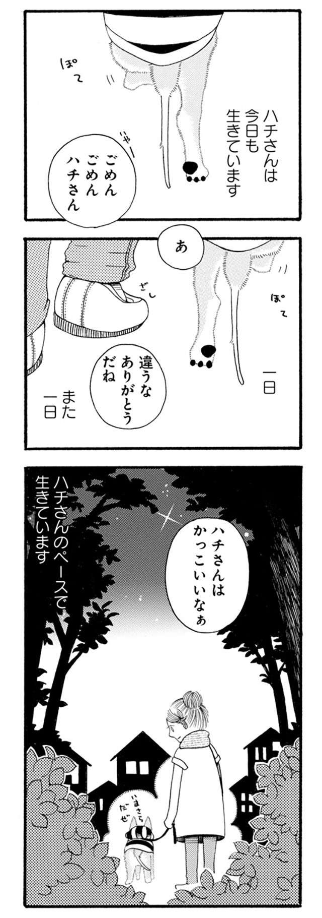 老犬は「かわいそう」ではない。愛犬の生き様／96歳の柴犬ハチさんは、今日もお散歩しています。 hachisan_P040_2.jpg