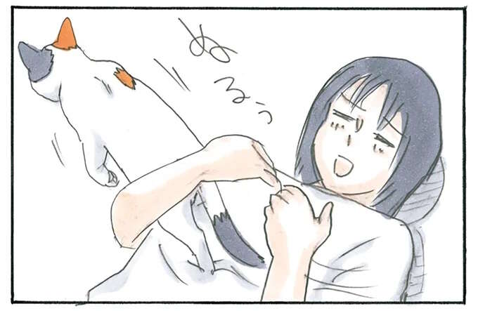 猫のスルースキル。「おいでー」と呼ぶ飼い主に応えたと思ったら？／拾い猫のモチャ3