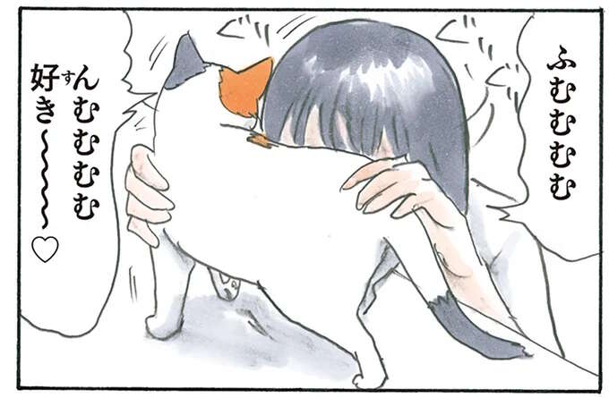 思う存分「猫吸い」をした飼い主。はっと思い出したことは...ああ／拾い猫のモチャ3