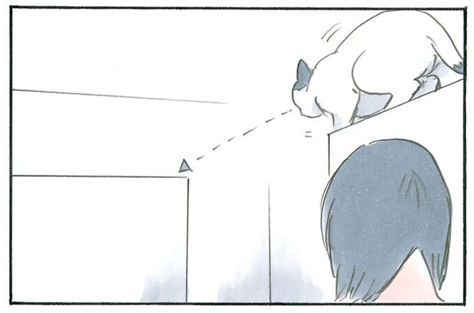 猫を飼っているとこんな日もある？ 「一日中こんな感じ」の休日／拾い猫のモチャ4