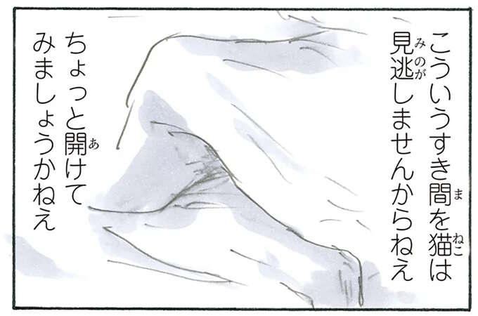 猫が作った「巣穴」。中を見てみたら...え？／拾い猫のモチャ6