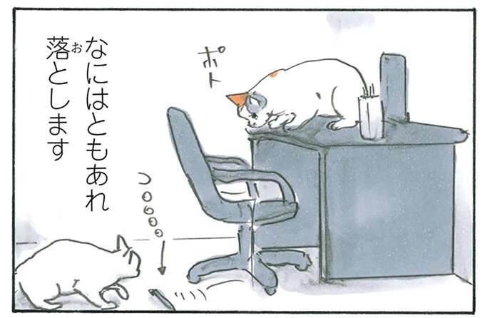 猫たちの華麗な連携プレイ。「机からモノが消える原因」を知った日／拾い猫のモチャ6