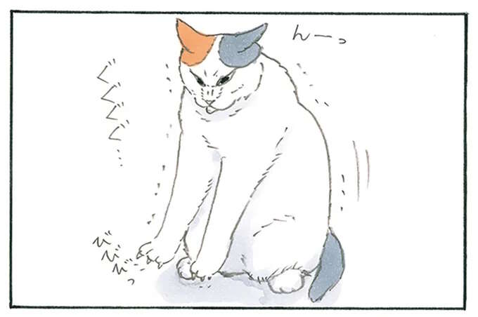 「猫と箱」の不思議。自分で入るのはいいけど...なんで？／拾い猫のモチャ8