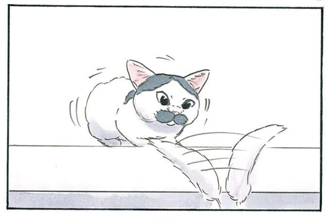 撮れた！ 飼い主がカメラに収めたかった猫の「ある瞬間」とは？／拾い猫のモチャ8