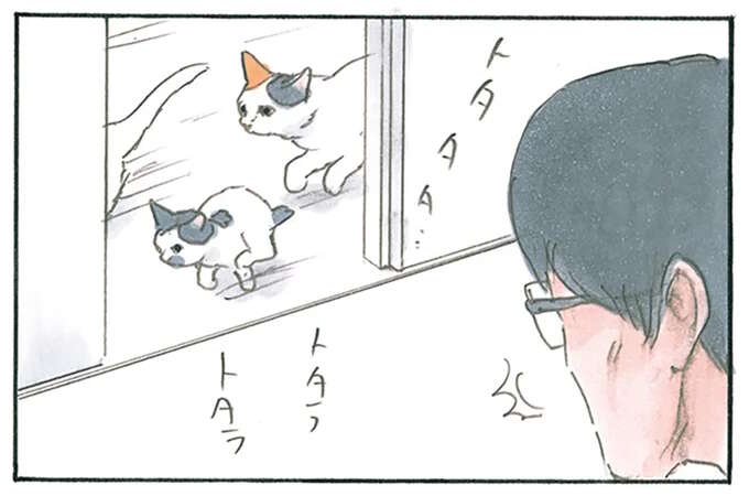 たまにしか来ない猫の「甘えん坊タイム」。父も便乗しようとしたら...え？／拾い猫のモチャ8