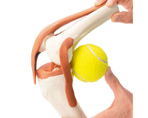 痛みを解消し ひざが動かしやすくなる テニスボールストレッチ ひざ痛ほぐし1分ストレッチ 毎日が発見ネット