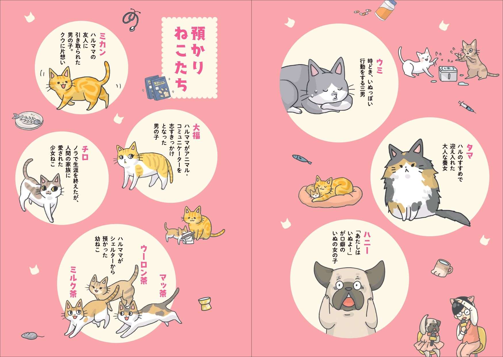 台湾で人気沸騰の保護ねこコミック！ ねこたちが持つ才能って？／保護ねこ物語 hogoneko_monogatari1_01.jpg