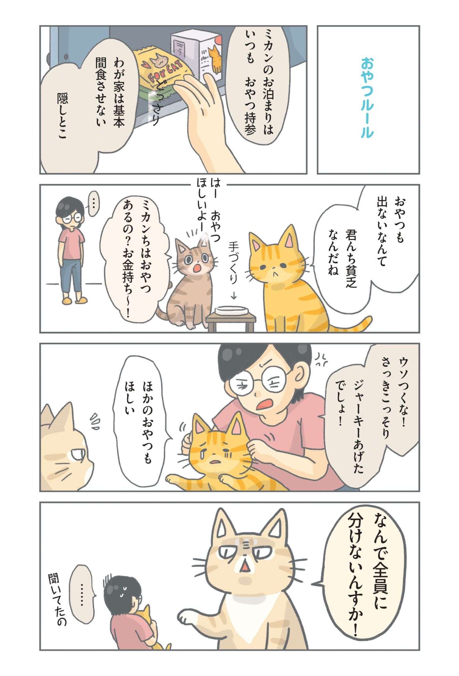 「君んち貧乏なんだね」保護ねこがおやつをもらえず不満そう。でも、実はさっき...？／保護ねこ物語 hogoneko_monogatari2_03.jpg