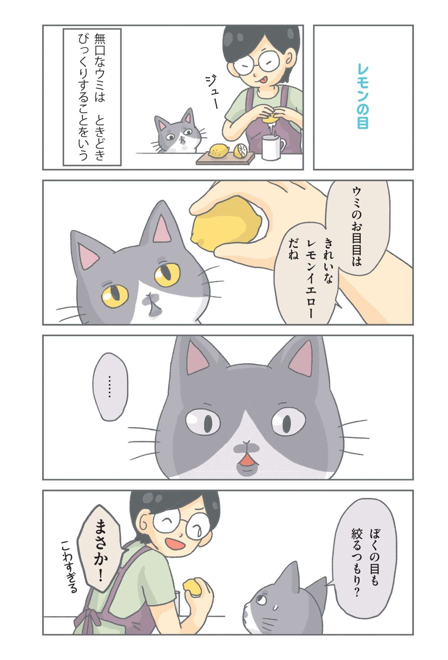 「君んち貧乏なんだね」保護ねこがおやつをもらえず不満そう。でも、実はさっき...？／保護ねこ物語 hogoneko_monogatari2_04.jpg