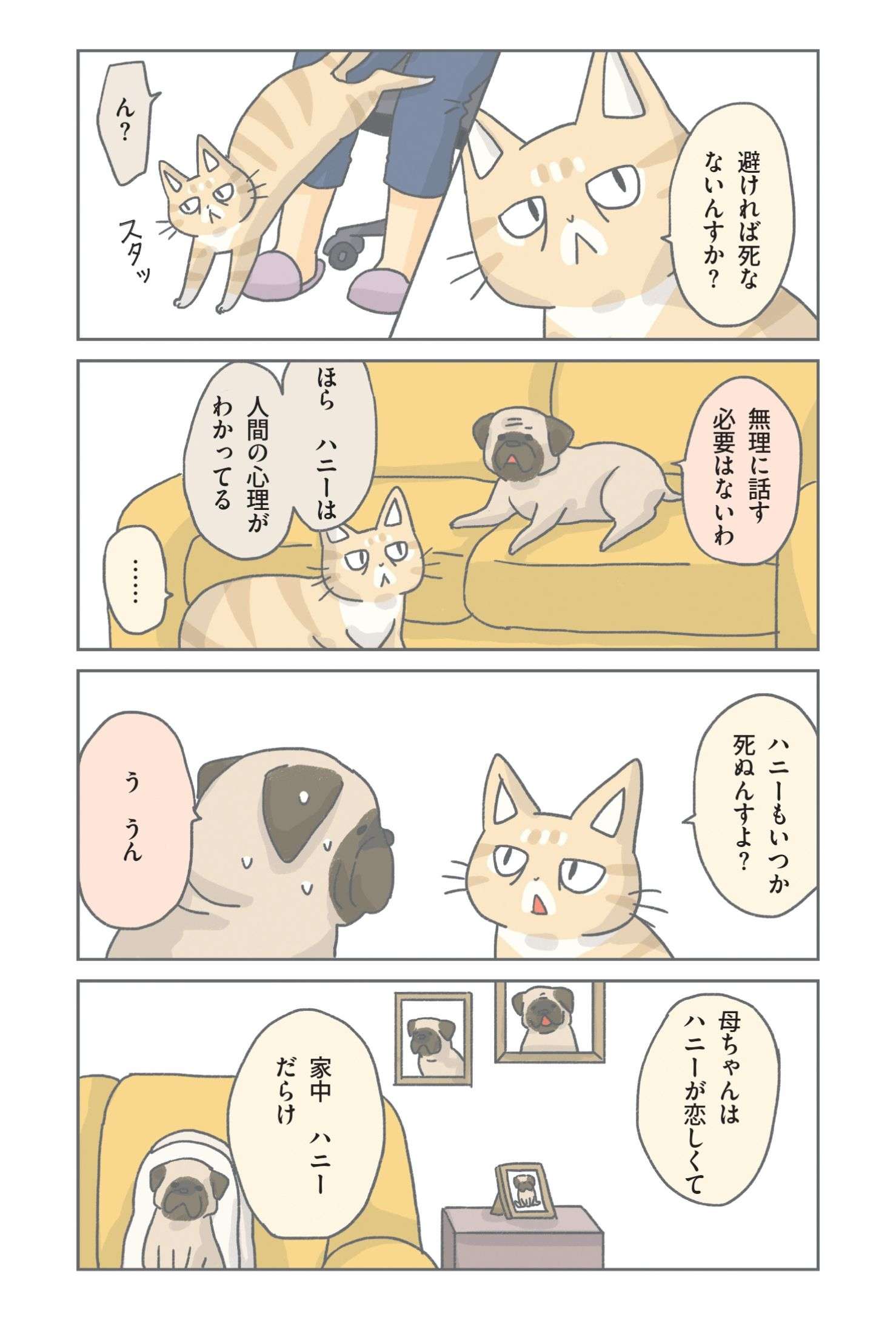 ペットの死は悲しい。ねこに「死んだらどうしてほしい？」と聞いてみると／保護ねこ物語 hogoneko_monogatari3_03.jpg