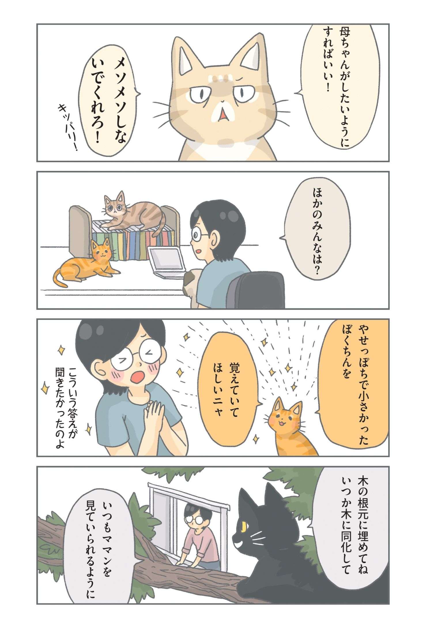 ペットの死は悲しい。ねこに「死んだらどうしてほしい？」と聞いてみると／保護ねこ物語 hogoneko_monogatari3_05.jpg