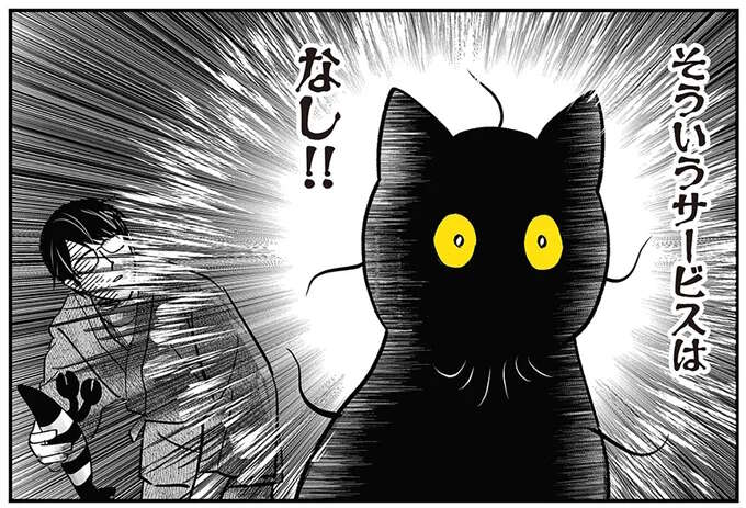 「すりすり」「ごろにゃ~ん」のサービスは一切なし! すきあらば臨戦態勢のわが家の黒猫/筆坊日記