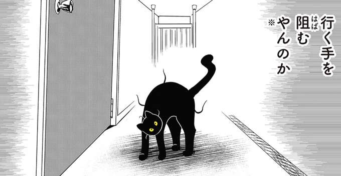 家の中で威嚇してくる愛猫。行く手を阻んで背中を丸め...両手で、すごいねっ/筆坊日記