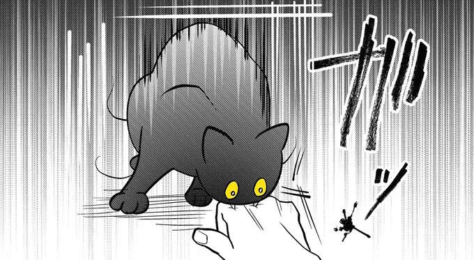 うちの猫の趣味は「人を驚かすこと」。驚かなかったら...あああ/筆坊日記