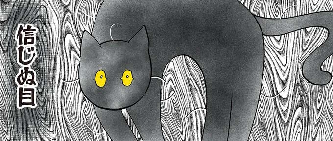 のびをした飼い主に猫が「やんのか?」ポーズで応戦。その気はないよと伝えても.../筆坊日記