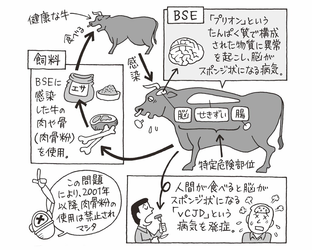 牛丼店から牛肉が消えた日 牛bse感染騒動 01 平成13 平成ピックアップ 毎日が発見ネット