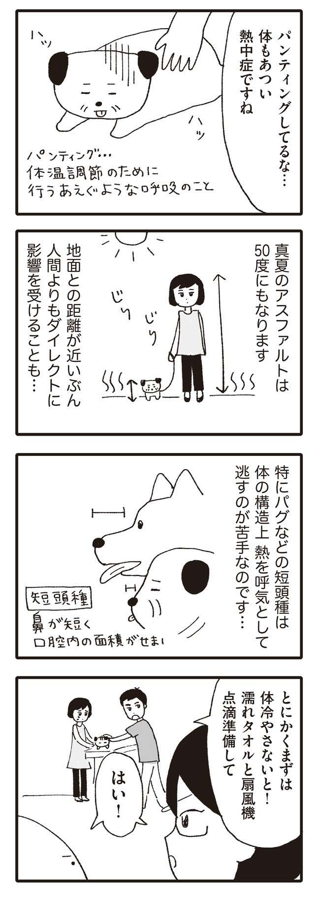 ぐったりした犬が動物病院に。散歩で注意したいこと／いぬねこ動物病院日記 inunekonikki10-3.jpg