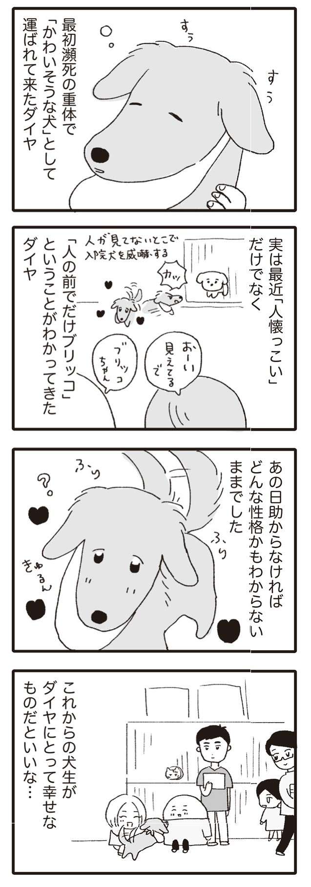 飼い主と連絡が取れない犬。病院で面倒を見ることになったが...／いぬねこ動物病院日記 inunekonikki17-4.jpg