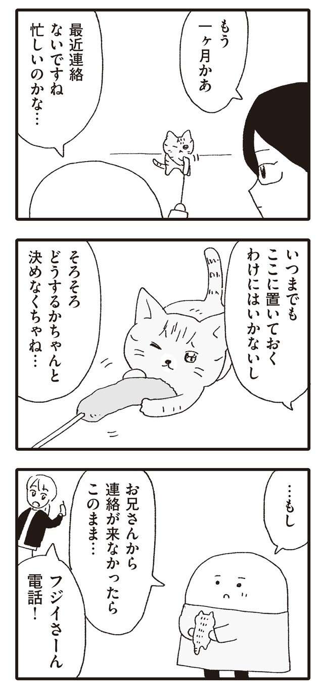 寂しいけど、飼い主さんとどうか幸せに...。保護猫の退院が決定！／いぬねこ動物病院日記 inunekonikki7-2.jpg