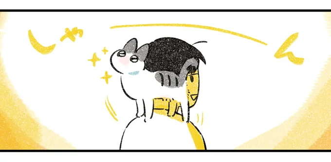 高いところに登りたい愛猫。危ないから肩にしておけと言うと...／じじ猫くらし