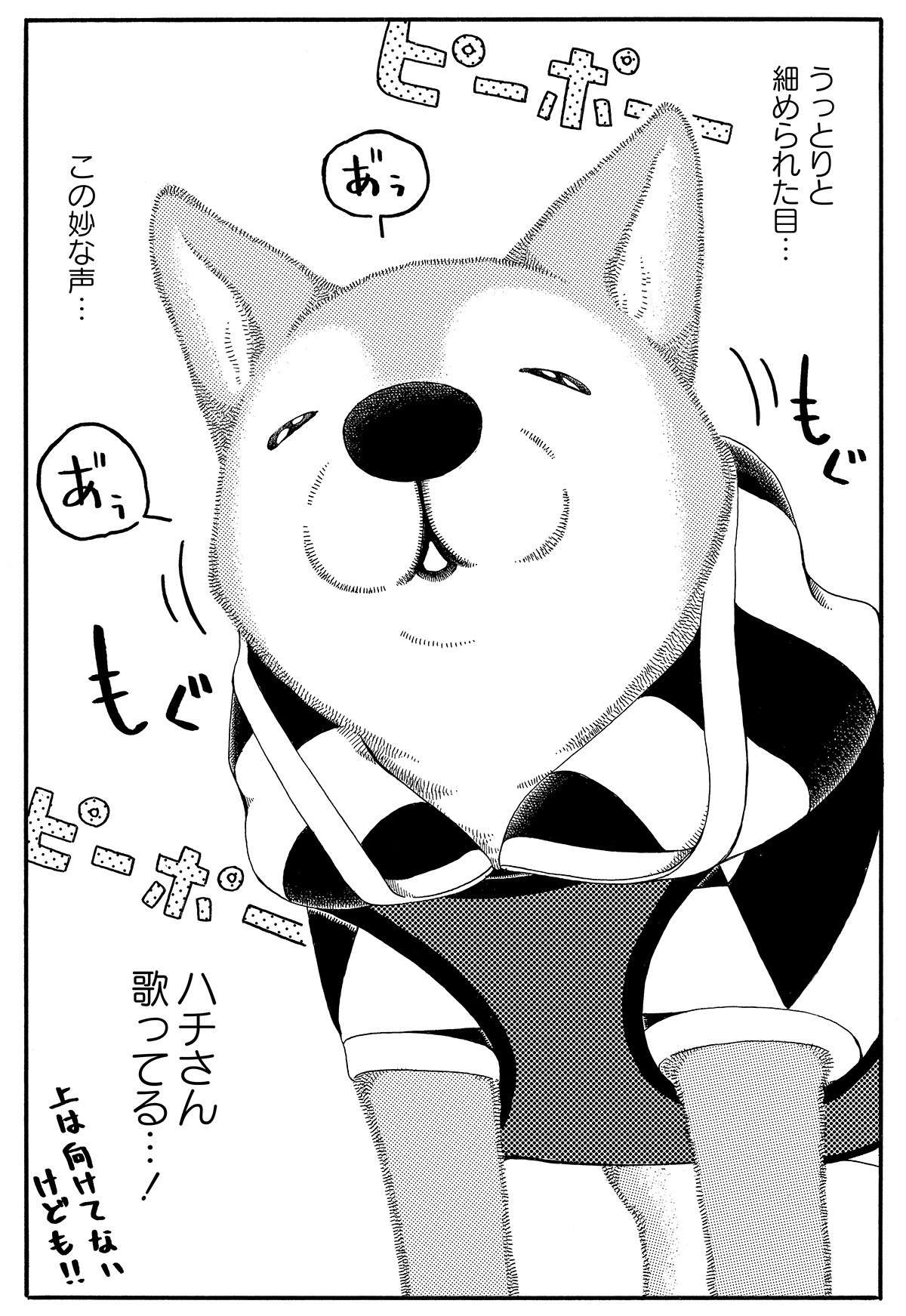 『じじ柴ハチさんは、今日も生きています。』 jijishiba_P019.jpg