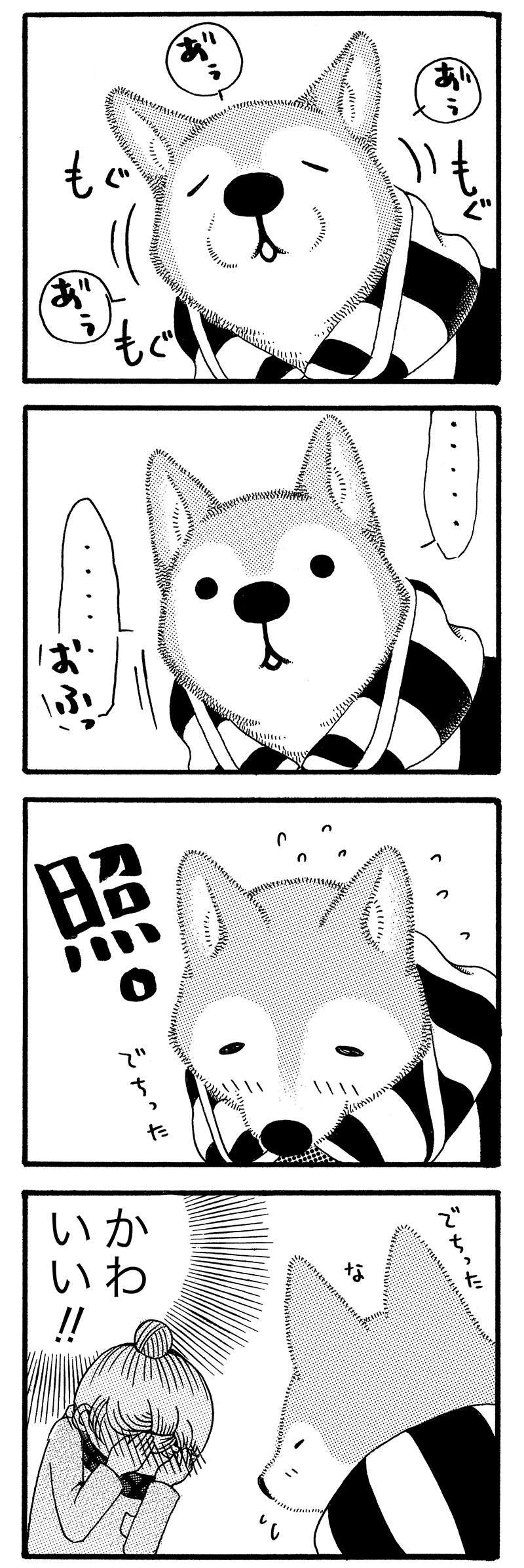 『じじ柴ハチさんは、今日も生きています。』 jijishiba_P020_1.jpg