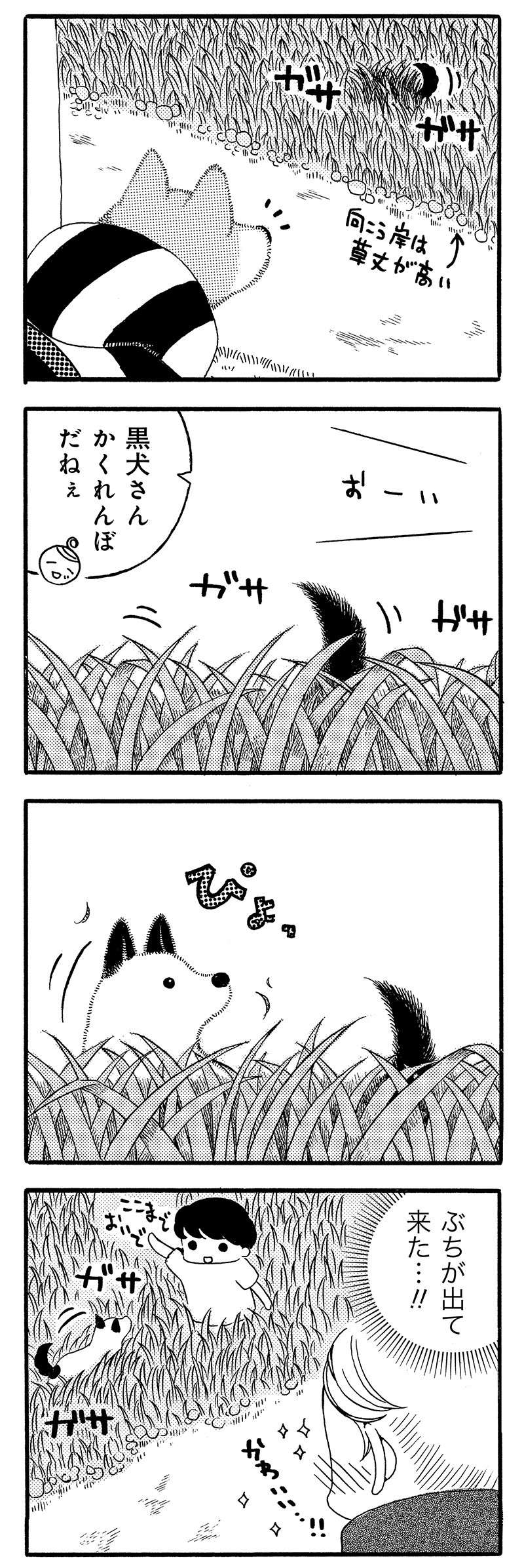 『じじ柴ハチさんは、今日も生きています。』 jijishiba_P021_2.jpg