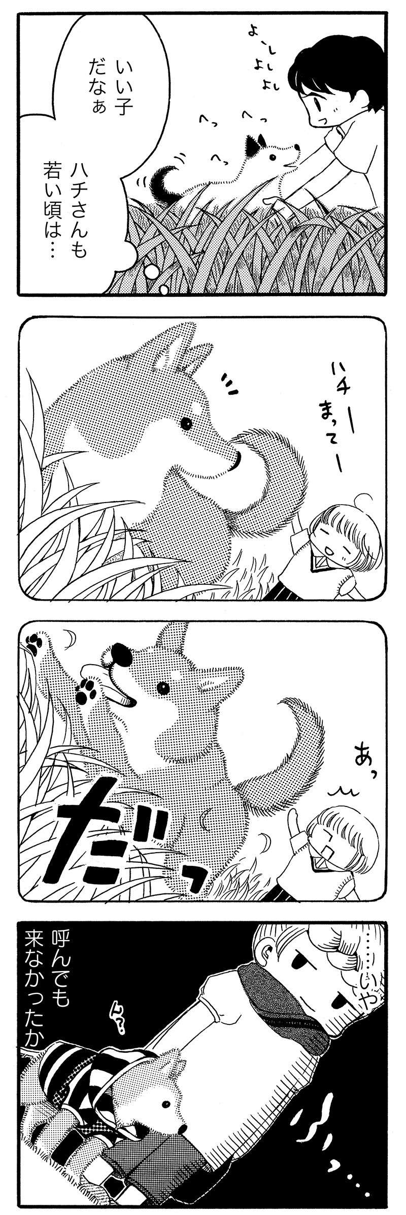 『じじ柴ハチさんは、今日も生きています。』 jijishiba_P022_1.jpg