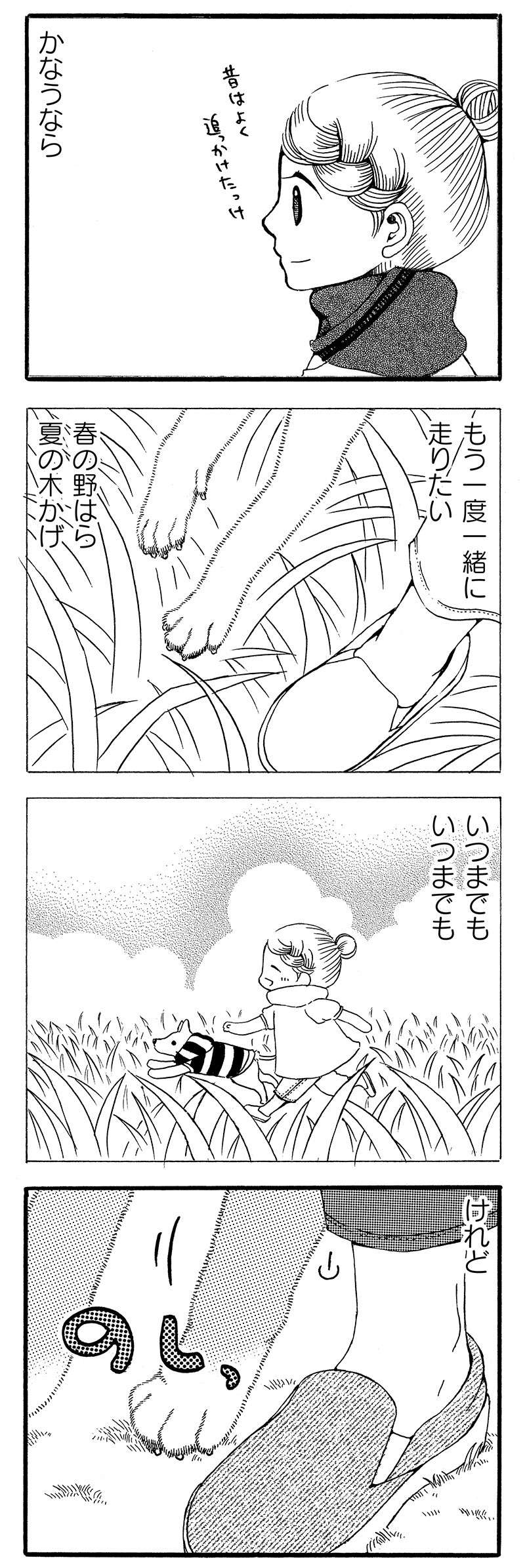 『じじ柴ハチさんは、今日も生きています。』 jijishiba_P022_2.jpg