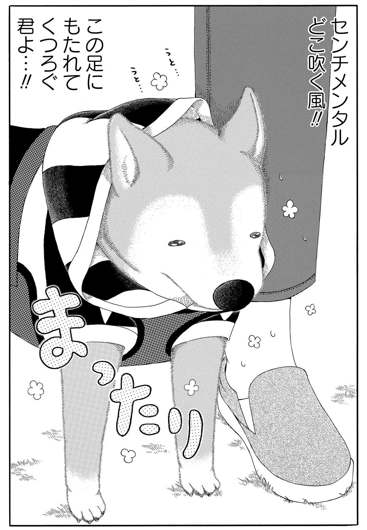 『じじ柴ハチさんは、今日も生きています。』 jijishiba_P023.jpg