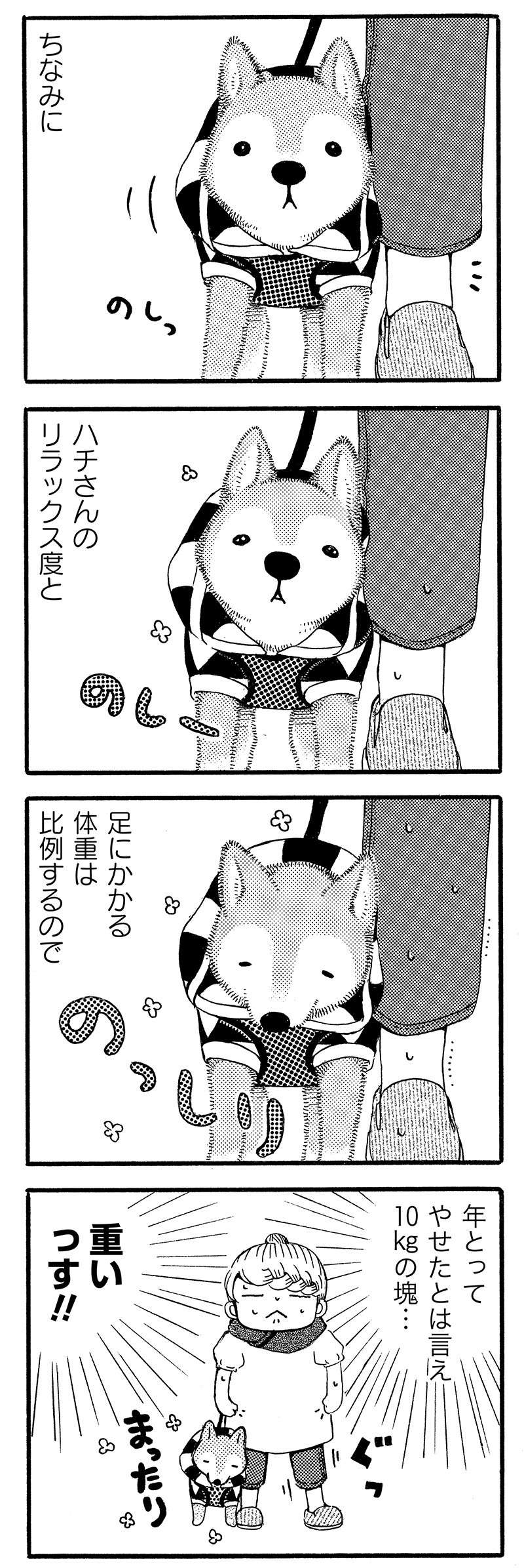 『じじ柴ハチさんは、今日も生きています。』 jijishiba_P024_1.jpg