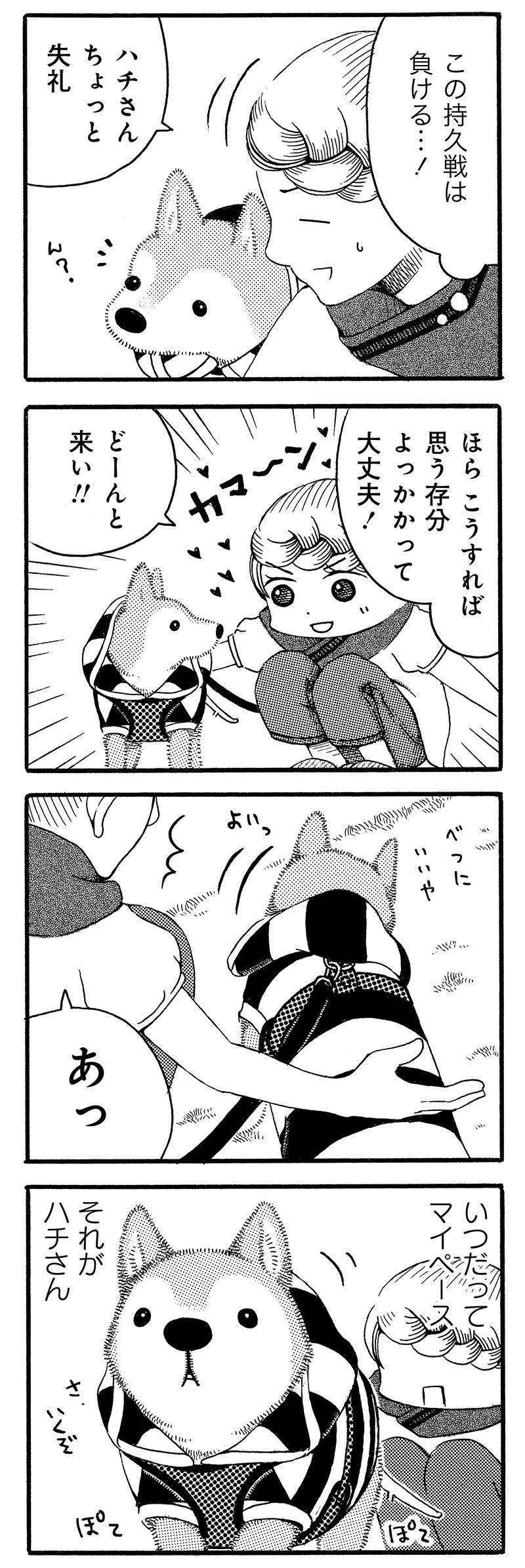 『じじ柴ハチさんは、今日も生きています。』 jijishiba_P024_2.jpg