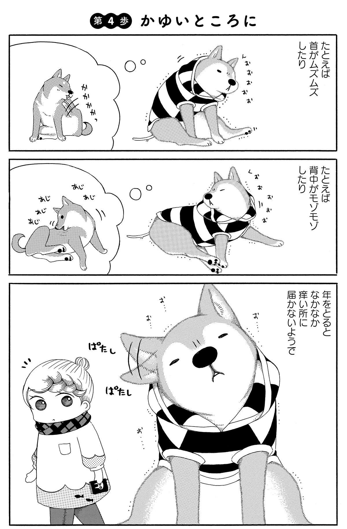 「かわいすぎるでしょう」シニア犬・ハチさんの表情に悶絶／じじ柴ハチさんは、今日も生きています。 jijishiba_P025.jpg