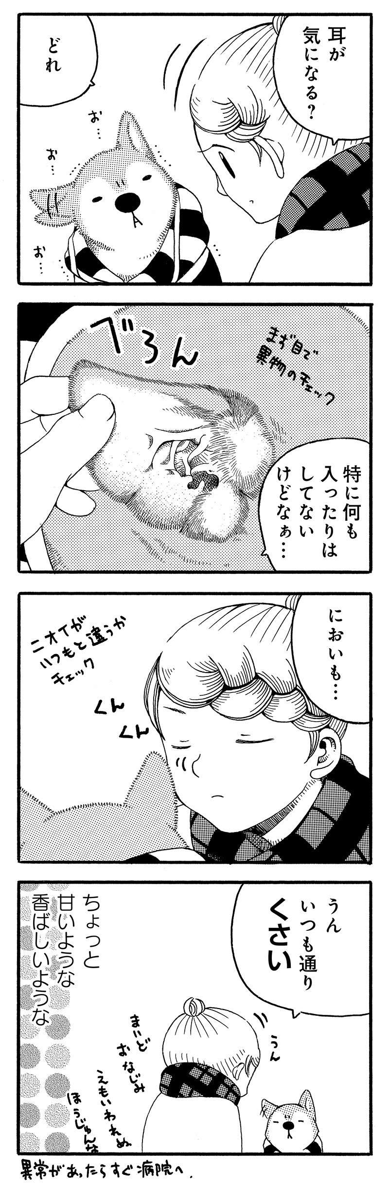 『じじ柴ハチさんは、今日も生きています。』 jijishiba_P026_1.jpg
