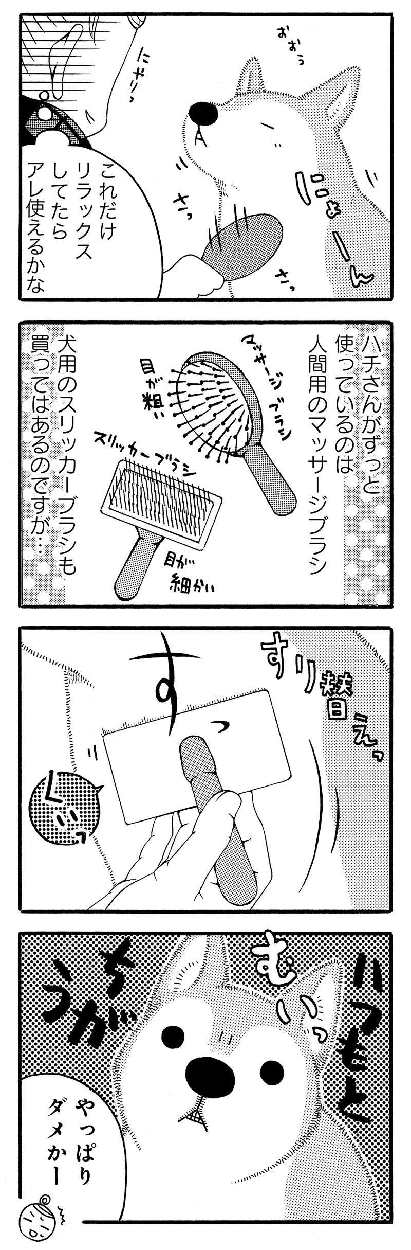 『じじ柴ハチさんは、今日も生きています。』 jijishiba_P028_1.jpg