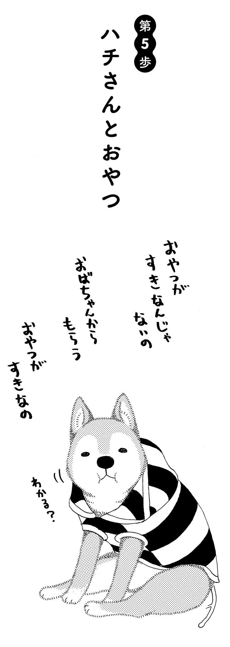 愛犬が久々に会った散歩仲間と再会。老いても忘れない記憶／じじ柴ハチさんは、今日も生きています。 jijishiba_P029_1.jpg