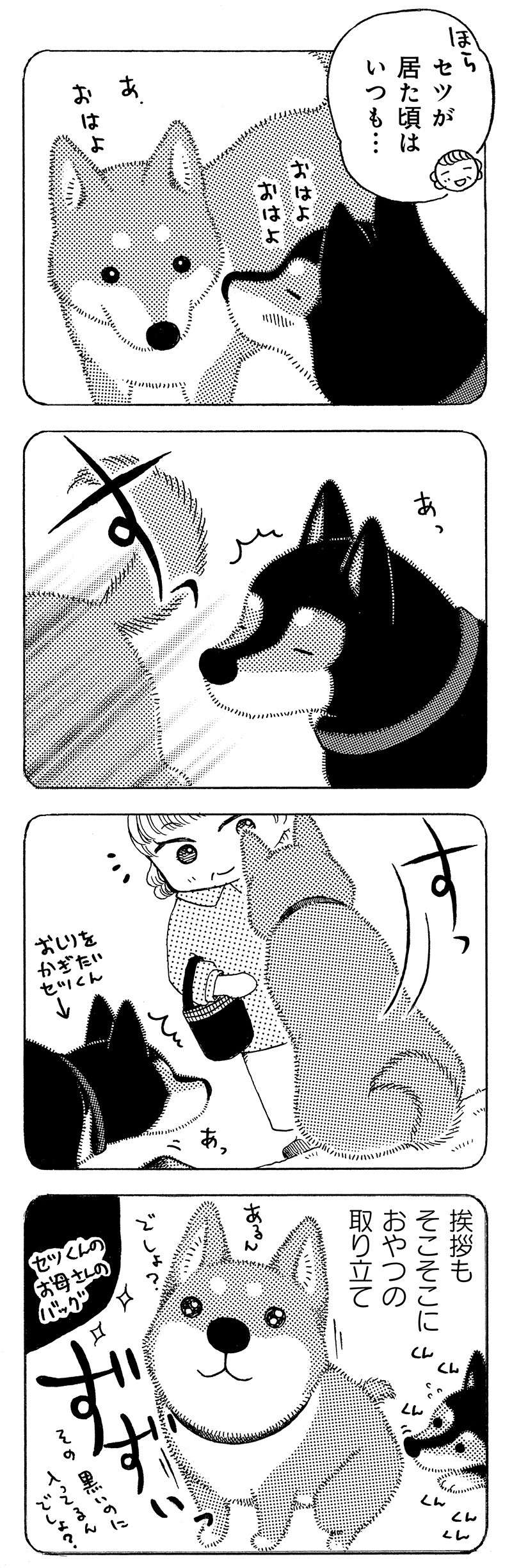 『じじ柴ハチさんは、今日も生きています。』 jijishiba_P031_1.jpg