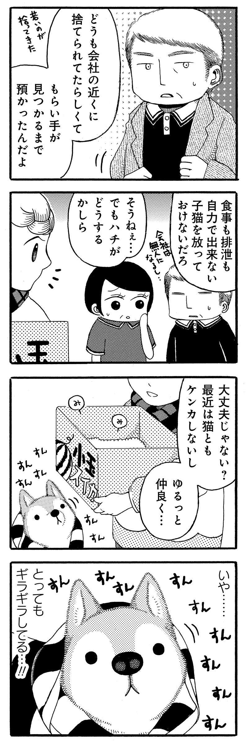 『じじ柴ハチさんは、今日も生きています。』 jijishiba_P048_1.jpg