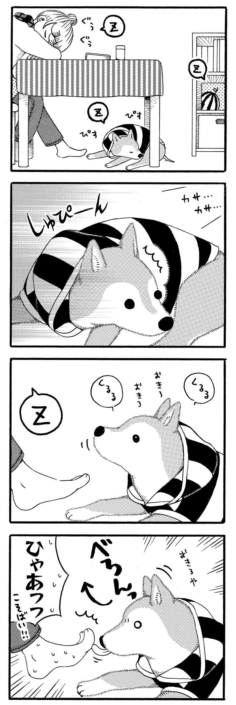 『じじ柴ハチさんは、今日も生きています。』 jijishiba_P050_1.jpg