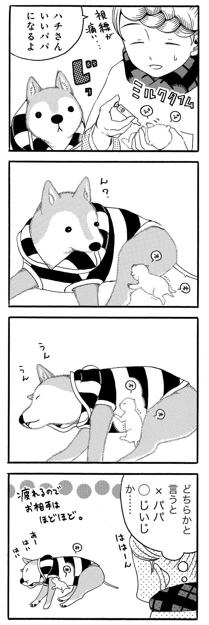 『じじ柴ハチさんは、今日も生きています。』 jijishiba_P050_2.jpg