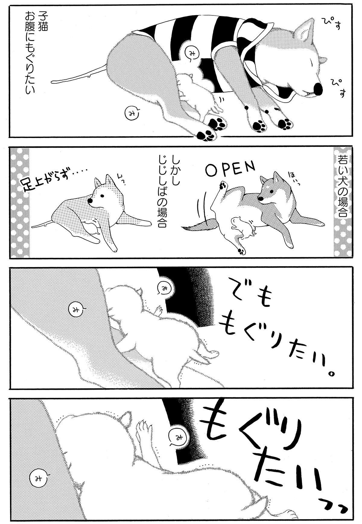 『じじ柴ハチさんは、今日も生きています。』 jijishiba_P051.jpg