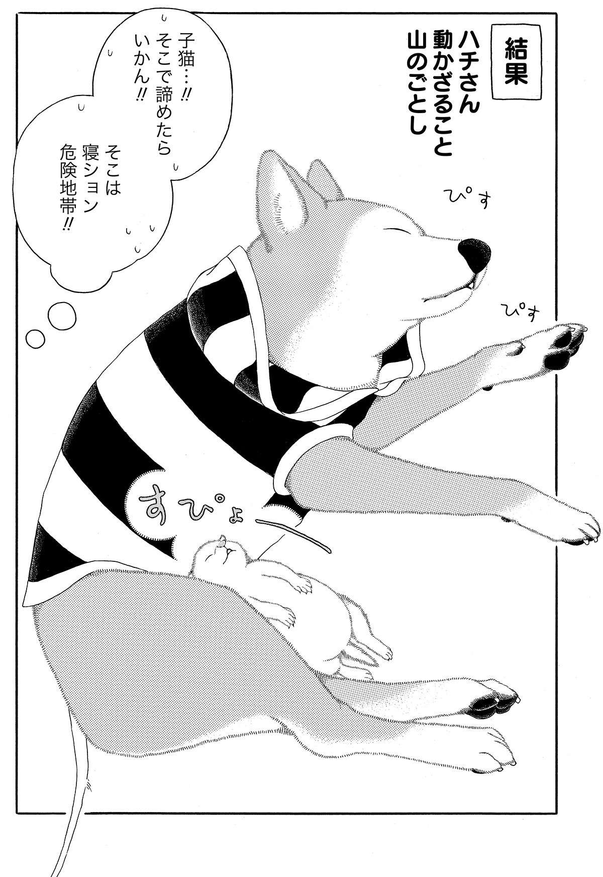 『じじ柴ハチさんは、今日も生きています。』 jijishiba_P052.jpg