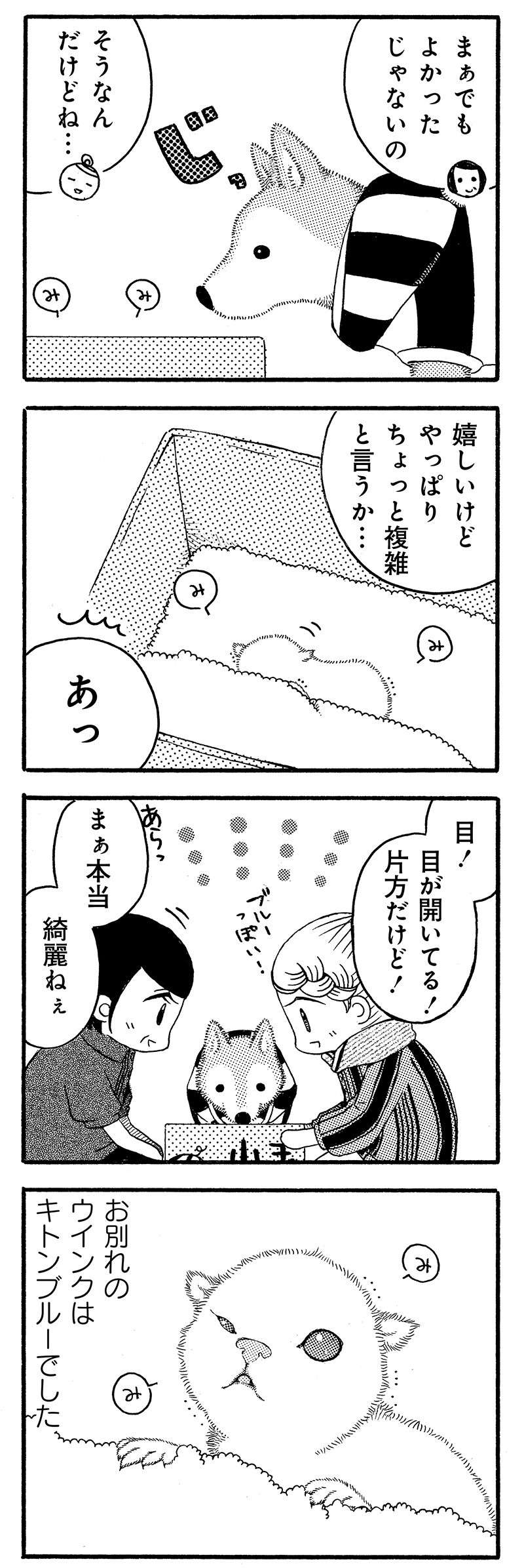『じじ柴ハチさんは、今日も生きています。』 jijishiba_P054_1.jpg
